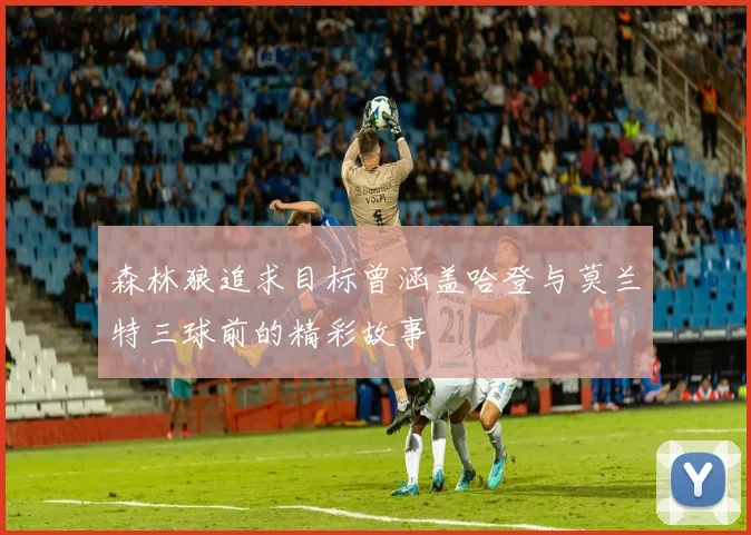 森林狼追求目标曾涵盖哈登与莫兰特三球前的精彩故事