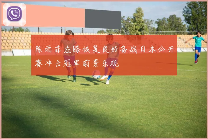 陈雨菲左膝恢复良好备战日本公开赛冲击冠军前景乐观